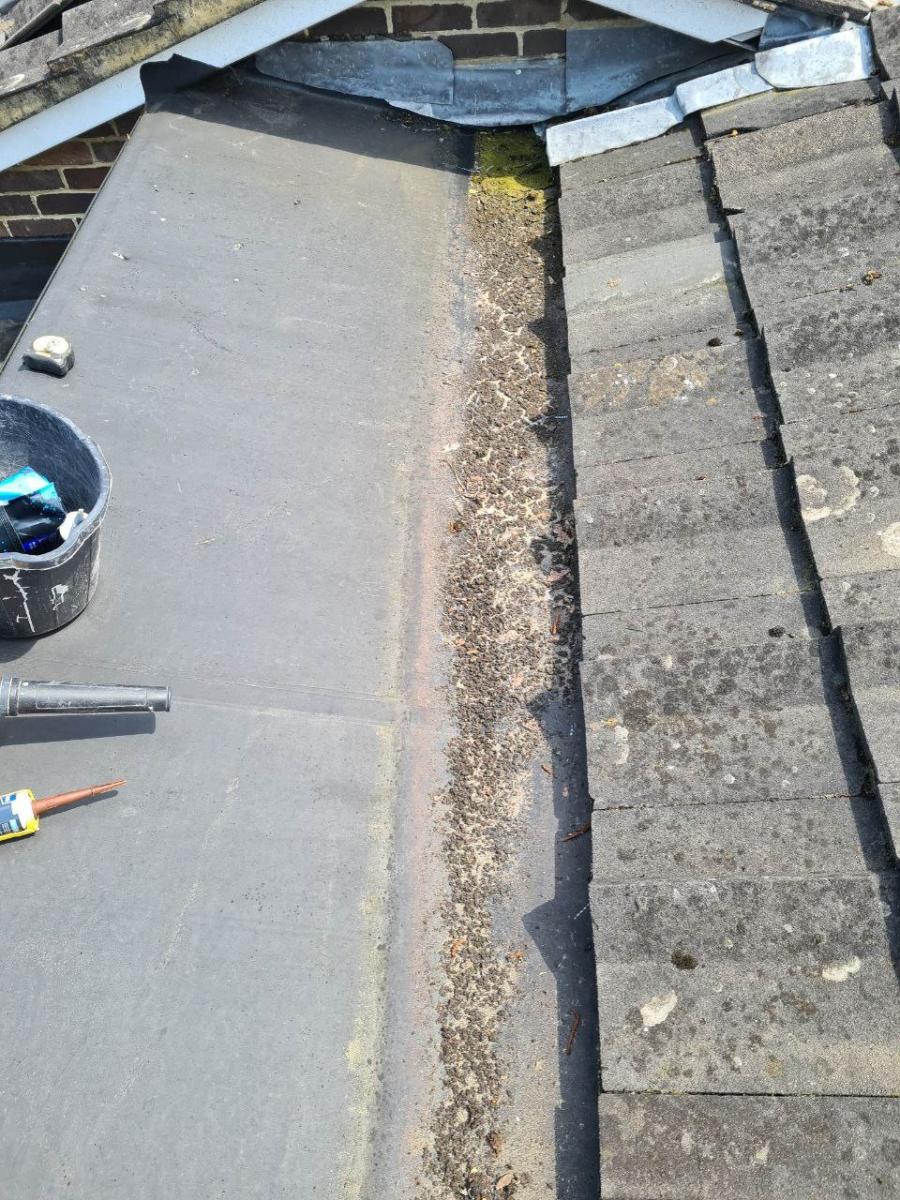 photo1685907120(12)