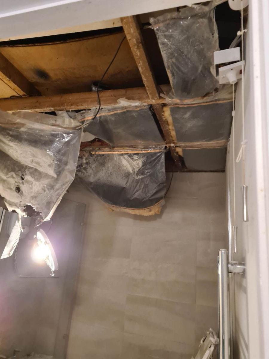 photo1685907122(7)